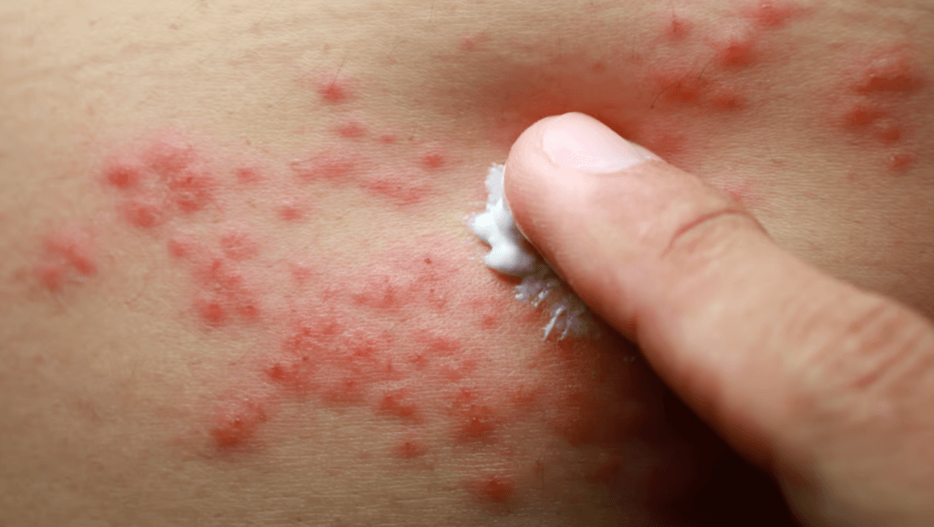 About Us 2 Pasted Image 31 1 23 15 14