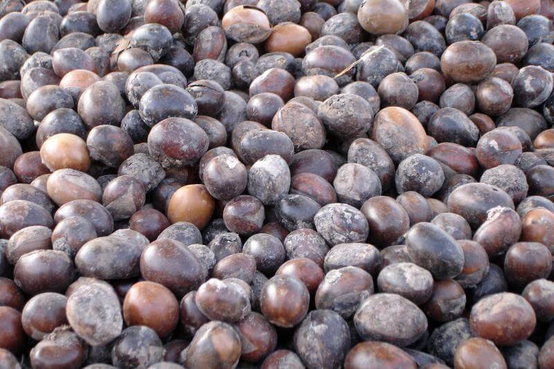 Eczema Lotion For Babies – What Are The Ingredients To Look For? 3 8453640472 e522ceda0b o