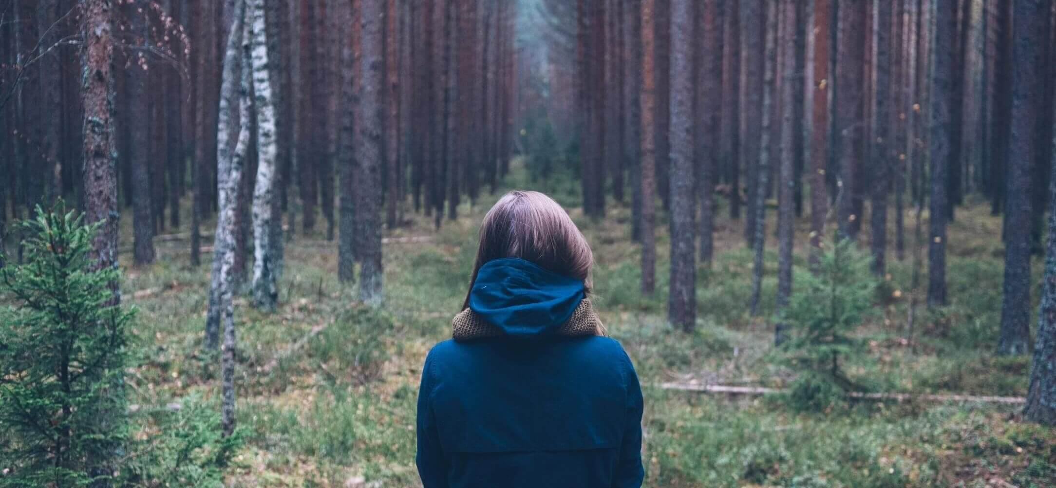 qtq80 2TDMcs e1675264699218